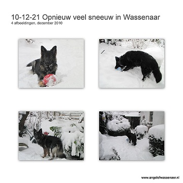 Opnieuw veel sneeuw in Wassenaar